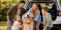 Voyager en voiture avec son chien